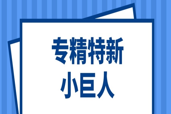 第三批第一年建議支持的國家級專精特新“小巨人”企業名單和2022年度申請簡單更名的專精特新“小巨人”企業名單的公示