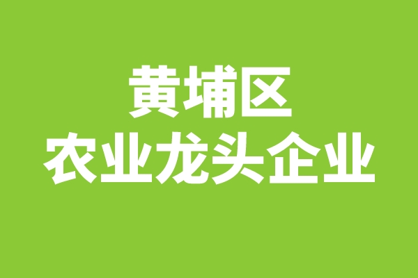 黃埔區2022年區級農業龍頭企業申報（時間、條件、獎勵）