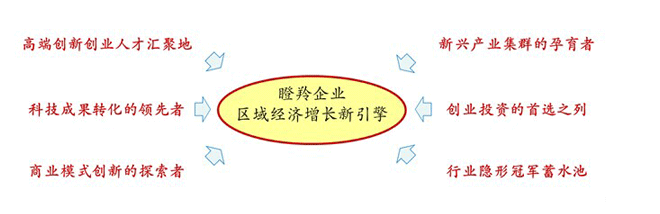 瞪羚企業(yè)對(duì)區(qū)域的重要作用