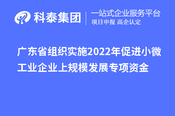 廣東省組織實施2022年促進小微工業企業上規模發展專項資金