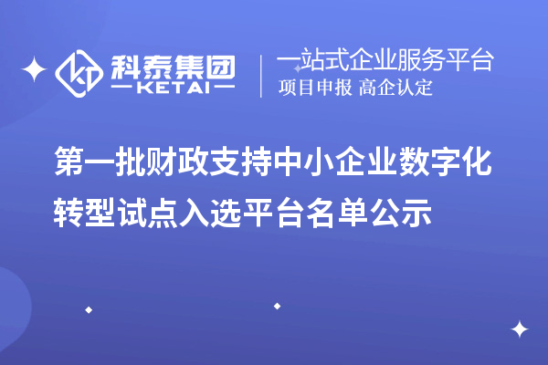 第一批財政支持中小企業數字化轉型試點入選平臺名單公示