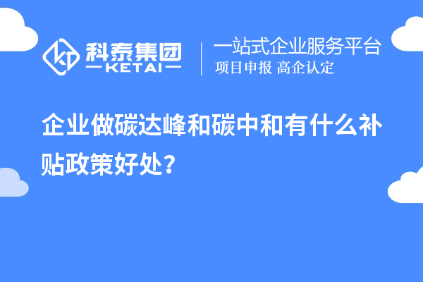 企業(yè)做碳達峰和碳中和有什么補貼政策好處?