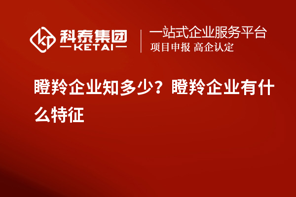 瞪羚企業(yè)知多少？瞪羚企業(yè)有什么特征