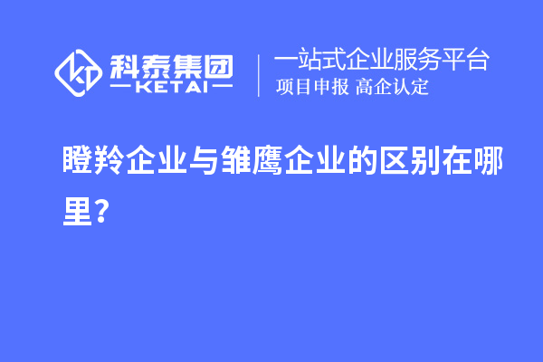 瞪羚企業(yè)與雛鷹企業(yè)的區(qū)別在哪里？