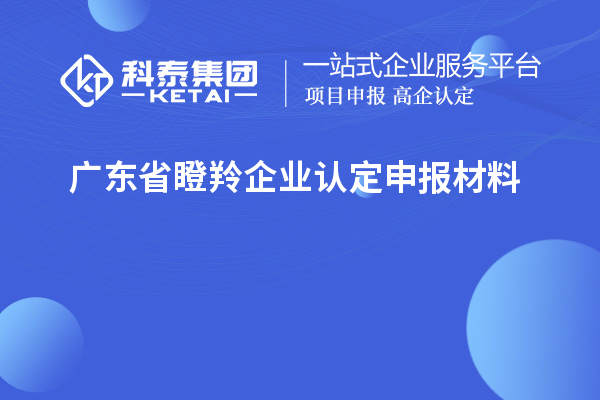廣東省<a href=http://m.xjsygy.com/fuwu/dengling.html target=_blank class=infotextkey>瞪羚企業認定</a>申報材料