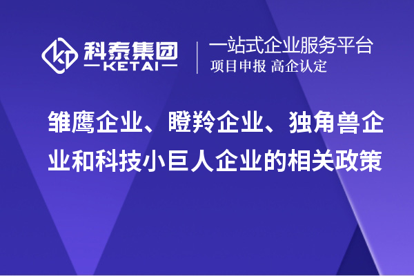 雛鷹企業、瞪羚企業、獨角獸企業和科技小巨人企業的相關政策