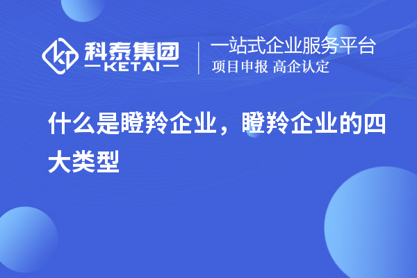 什么是瞪羚企業(yè)，瞪羚企業(yè)的四大類型