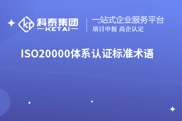 ISO20000體系認證標準術(shù)語