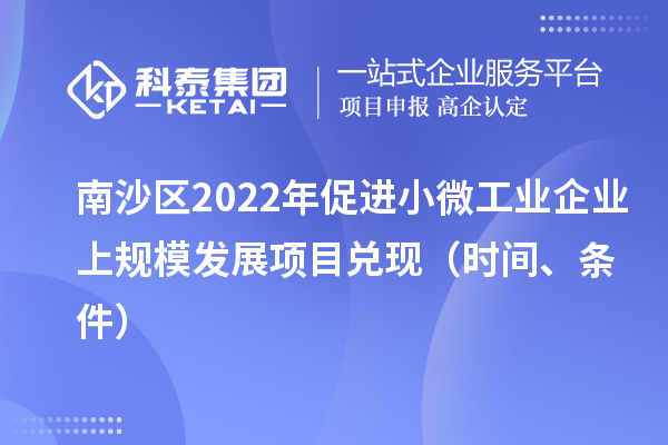 南沙區2022年促進小微工業企業上規模發展項目兌現（時間、條件）