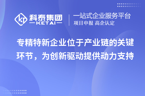 專精特新企業位于產業鏈的關鍵環節,為創新驅動提供動力支持