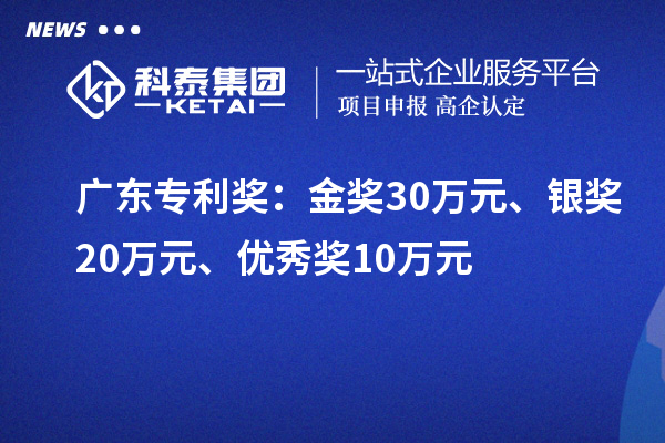 廣東專利獎：金獎30萬元、銀獎20萬元、優秀獎10萬元（省級）