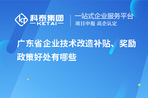 廣東省企業(yè)技術(shù)改造補貼、獎勵政策好處有哪些