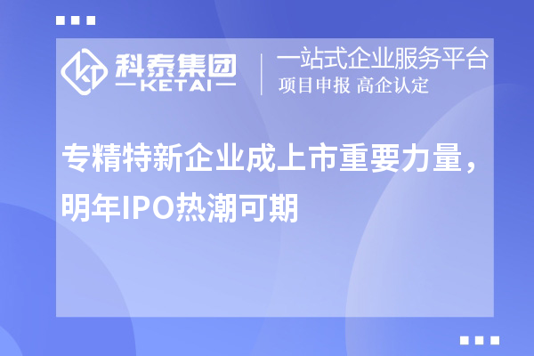 專精特新企業成上市重要力量,明年IPO熱潮可期