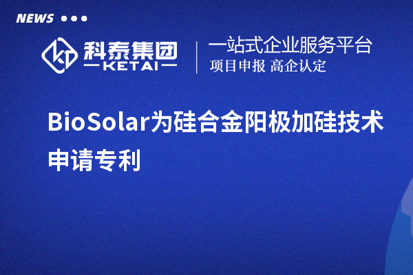 BioSolar為硅合金陽極加硅技術(shù)申請(qǐng)專利