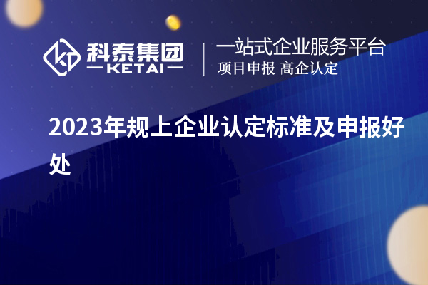 2023年規上企業認定標準及申報好處