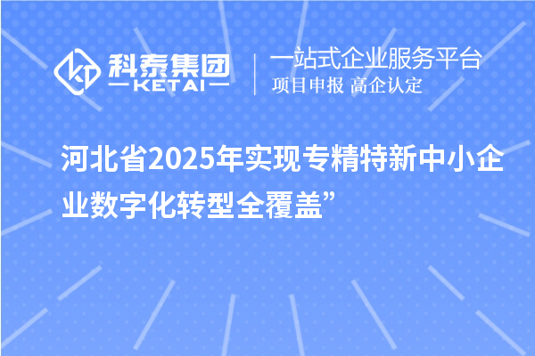 河北省2025年實現專精特新中小企業數字化轉型全覆蓋”