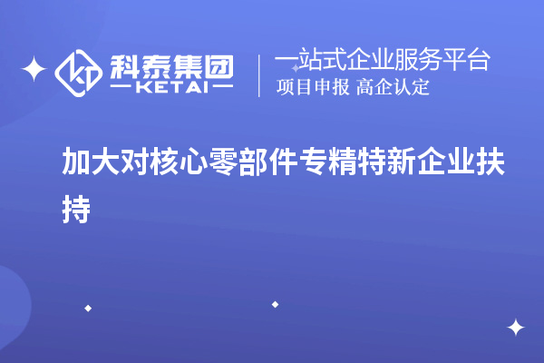 加大對核心零部件專精特新企業(yè)扶持
