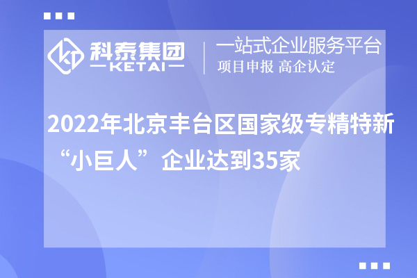 2022年北京豐臺區國家級專精特新“小巨人”企業達到35家