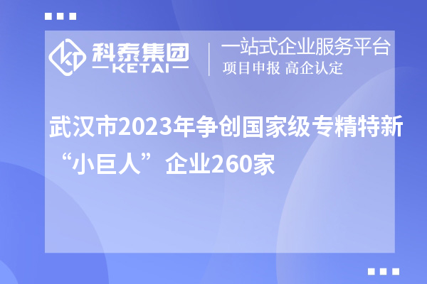 武漢市2023年爭創國家級專精特新“小巨人”企業260家