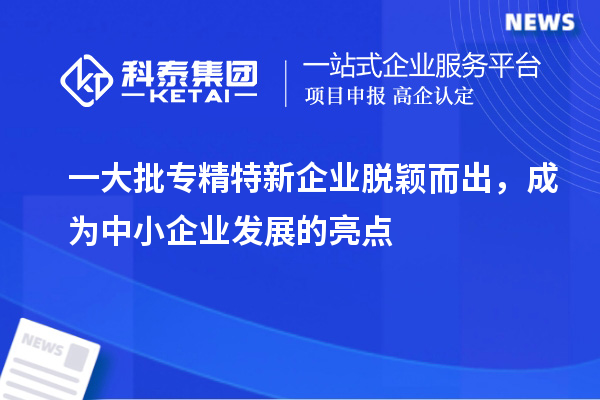 一大批專精特新企業脫穎而出,成為中小企業發展的亮點