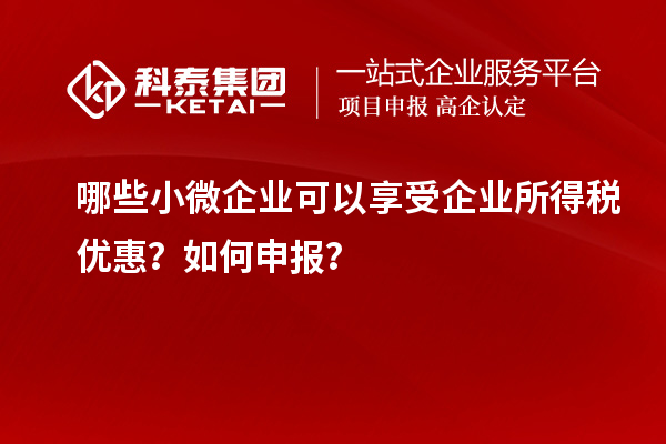 哪些小微企業(yè)可以享受企業(yè)所得稅優(yōu)惠?如何申報(bào)?