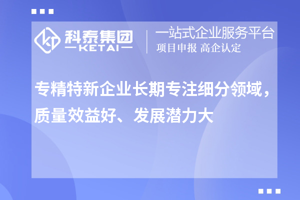 專精特新企業長期專注細分領域，質量效益好、發展潛力大