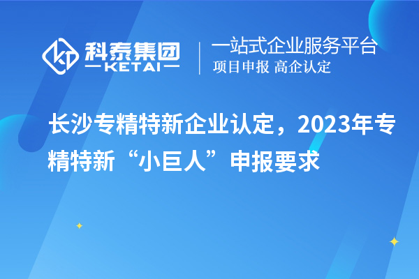 長沙專精特新企業(yè)認(rèn)定,2023年專精特新“小巨人”申報(bào)要求