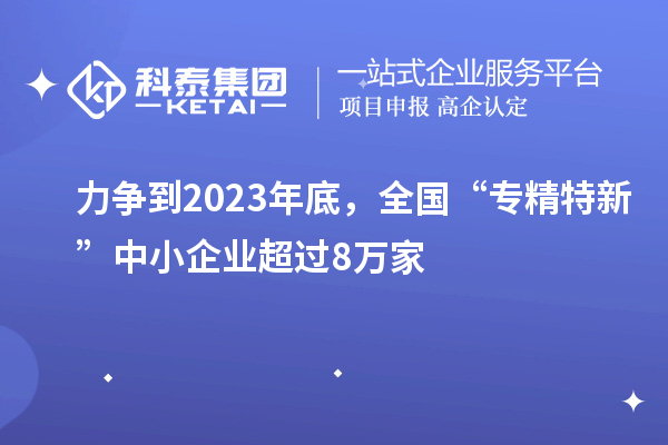 力爭到2023年底,全國“專精特新”中小企業(yè)超過8萬家