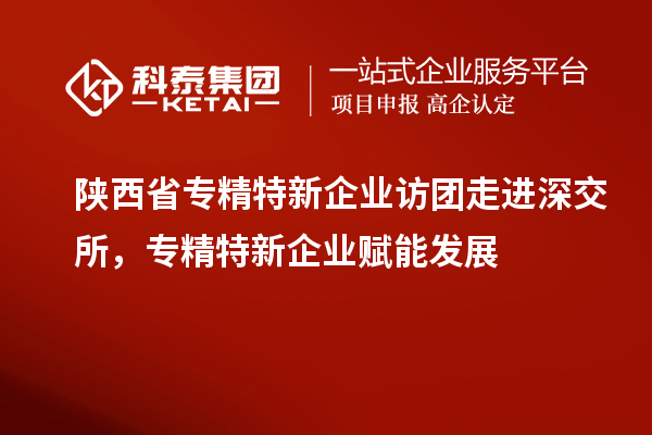 陜西省專精特新企業(yè)訪團走進(jìn)深交所,專精特新企業(yè)賦能發(fā)展