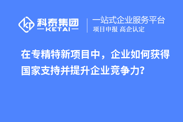 在專精特新項目中，企業(yè)如何獲得國家支持并提升企業(yè)競爭力？