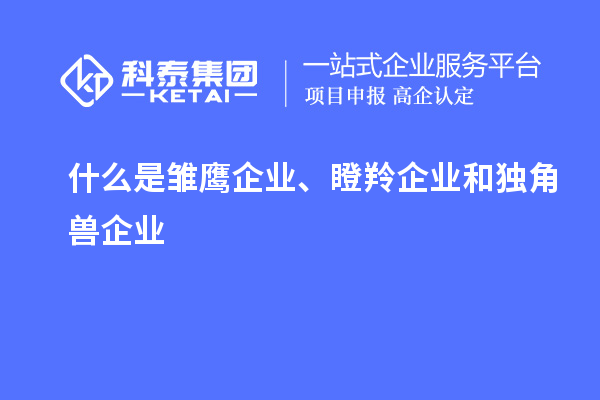 什么是雛鷹企業、瞪羚企業和獨角獸企業