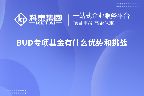 BUD專項基金有什么優勢和挑戰