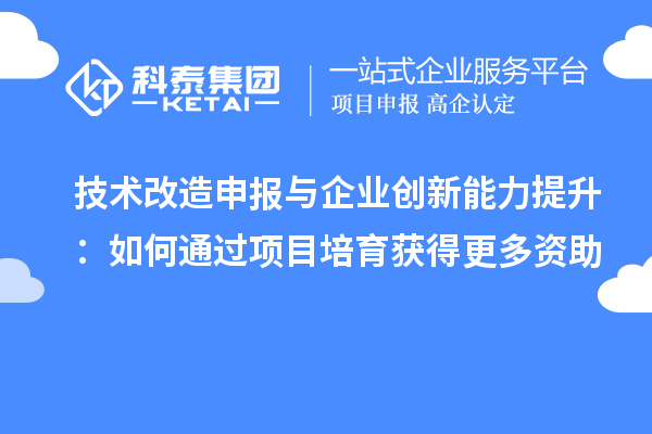 技術改造申報與企業創新能力提升：如何通過項目培育獲得更多資助