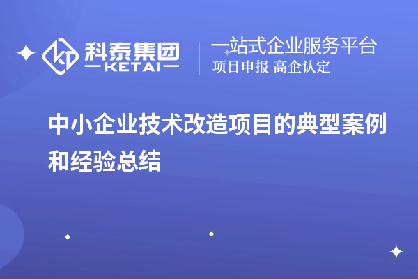 中小企業技術改造項目的典型案例和經驗總結