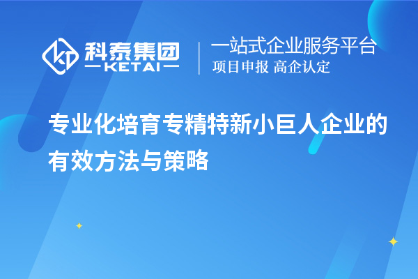 專業化培育專精特新小巨人企業的有效方法與策略