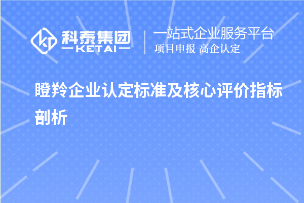 <a href=http://m.xjsygy.com/fuwu/dengling.html target=_blank class=infotextkey>瞪羚企業認定</a>標準及核心評價指標剖析