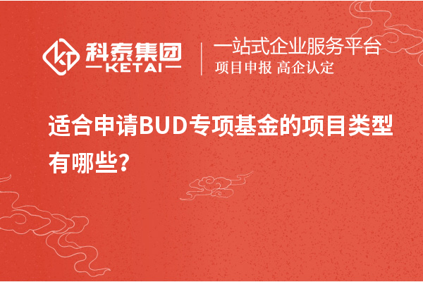 適合申請BUD專項基金的項目類型有哪些?