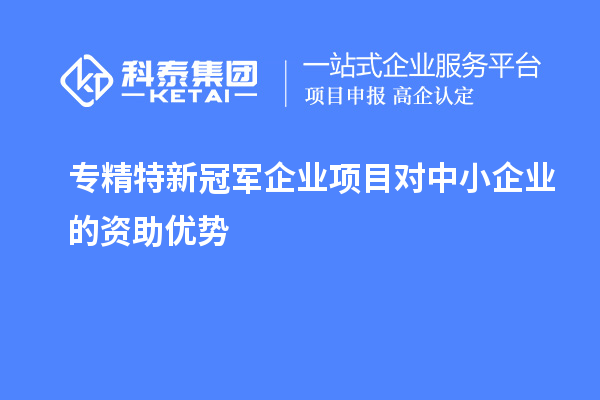 專精特新冠軍企業項目對中小企業的資助優勢
