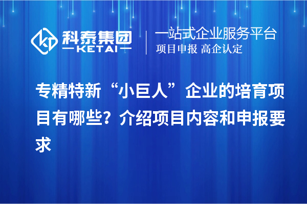專精特新“小巨人”企業的培育項目有哪些？介紹項目內容和申報要求