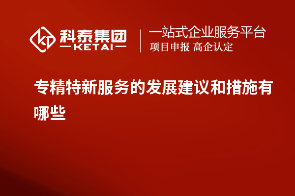 專(zhuān)精特新服務(wù)的發(fā)展建議和措施有哪些