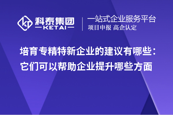 培育專精特新企業的建議有哪些:它們可以幫助企業提升哪些方面
