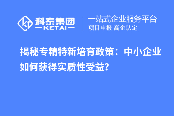 揭秘專精特新培育政策:中小企業如何獲得實質性受益?