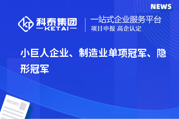 小巨人企業(yè)、制造業(yè)單項冠軍、隱形冠軍
