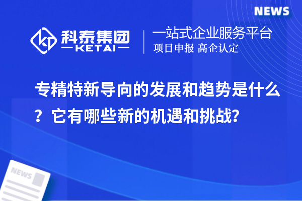 專精特新導向的發展和趨勢是什么?它有哪些新的機遇和挑戰?
