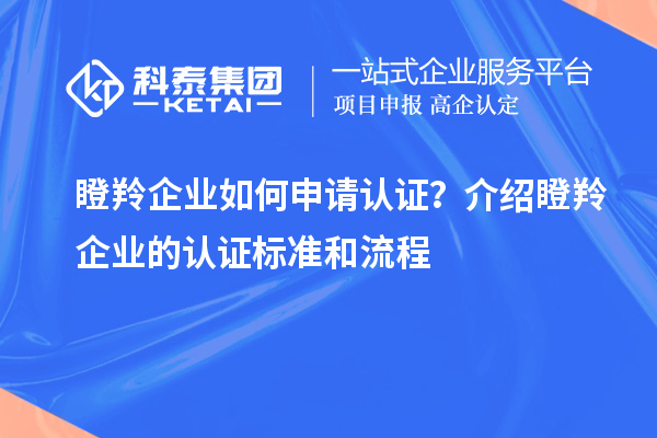 瞪羚企業如何申請認證？介紹瞪羚企業的認證標準和流程