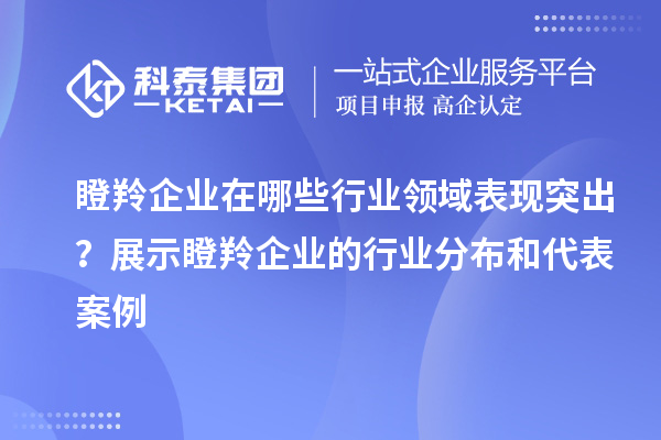 瞪羚企業在哪些行業領域表現突出?展示瞪羚企業的行業分布和代表案例