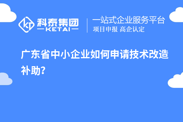 廣東省中小企業如何申請技術改造補助？
