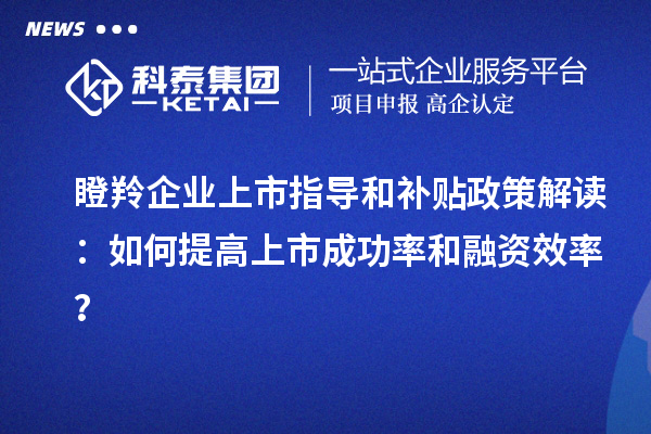 瞪羚企業上市指導和補貼政策解讀:如何提高上市成功率和融資效率?