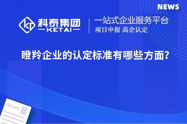 瞪羚企業(yè)的認定標準有哪些方面?