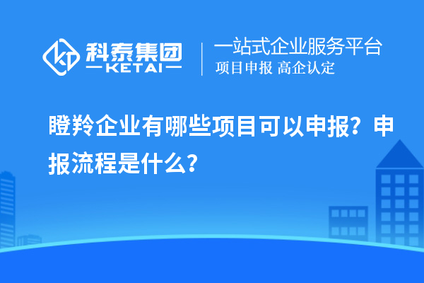瞪羚企業有哪些項目可以申報?申報流程是什么?